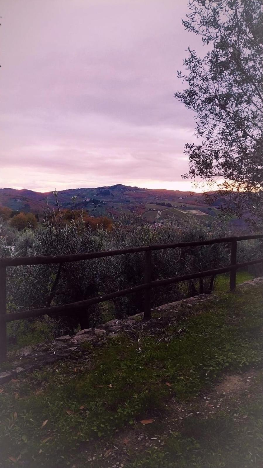 Agriturismo La Camporena Greve in Chianti Eksteriør bilde